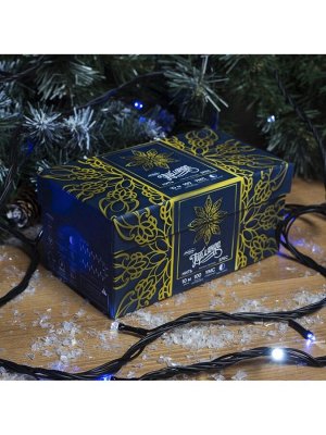 Гирлянда «Нить» 10 м, IP44, УМС, тёмная нить, 100 LED, свечение бело-синее, мигание, 220 В