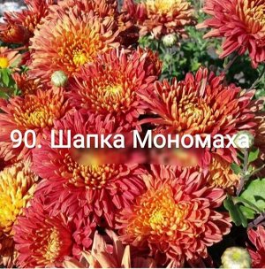90 Шапка Мономаха