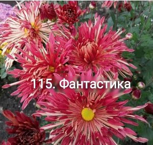 115 Фантастика