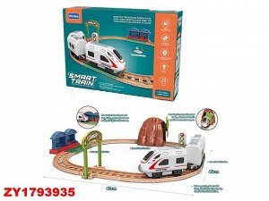 Железная дорога ZY1793935 E7009 (1/36)