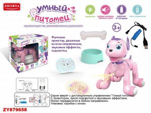 Собака на р/у ZY879658 ZYB-B2997-4 (1/18)