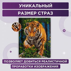 Кристальная (алмазная) мозаика на холсте 40x30 на подрамнике Фрея, Глаз