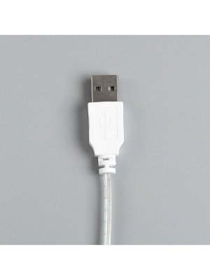 Гирлянда «Нить» 3 м с насадками «Шарики», IP20, прозрачная нить, 20 LED, свечение мульти (RG/RB), мигание, USB