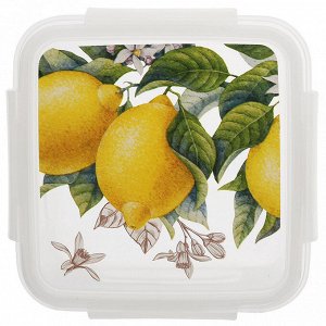Контейнер для продуктов пластмассовый "Fresh" 0,6л, подходит для СВЧ (Россия)