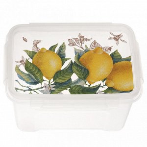 Контейнер для продуктов пластмассовый "Fresh" 1,1л, 16,5х11,6х9,5см, подходит для СВЧ (Россия)