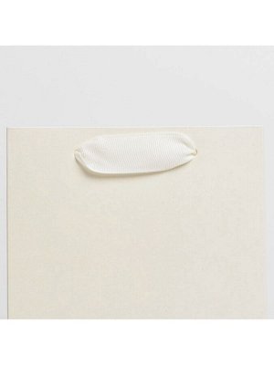 Пакет подарочный под бутылку, упаковка, «Молочный», 13x35x10 см