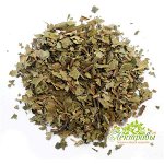 ОРЕХ ЧЁРНЫЙ (ЛИСТ)