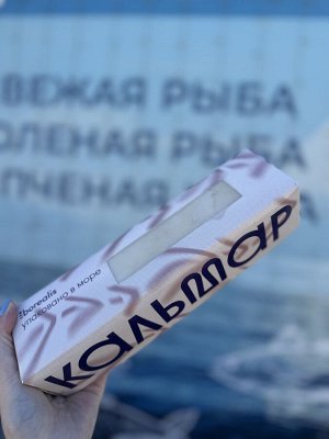 Кальмар командорский