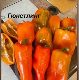 "Перец сладкий           ГЮНСТЛИНГ"