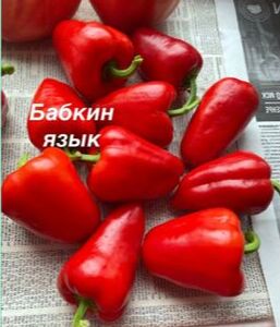 "Перец сладкий          БАБКИН ЯЗЫК"