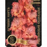 1 разбор
