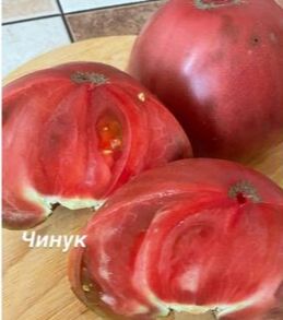 ЧИНУК (Канада)