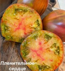 Пленительное сердце