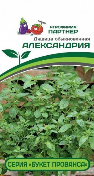 Душица обыкновенная серия "Букет Прованса" Александрия