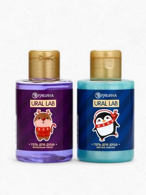 Новогодний подарочный набор косметики Gift for you: гель для душа 2 шт. x 100 мл, мочалка для тела, URAL LAB
