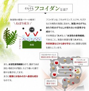 Ventuno Fucoidan V Drink – морской напиток с фукоиданом из бурых водорослей
