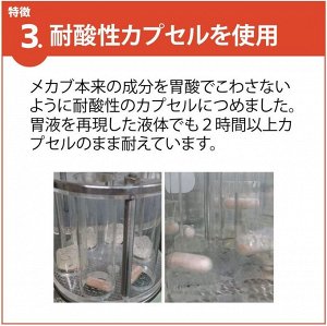 Taiyodo Pharmaceutical Fucoidan – концентрированный фукоидан для ежедневной поддержки здоровья