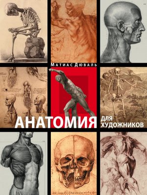 Дюваль М. Анатомия для художников