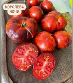 Королева ночи