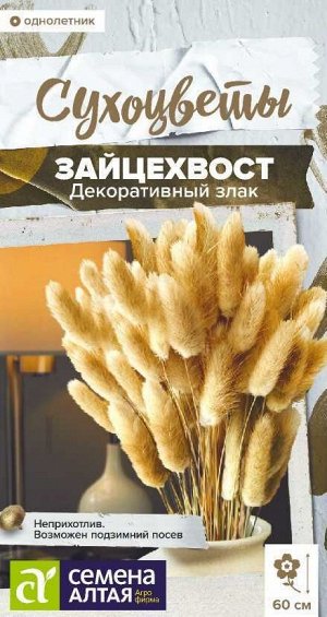 Зайцехвост злак декоративный/Сем Алт/цп 0,05 гр. Сухоцветы