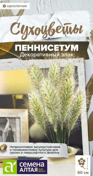 Цветы Пеннисетум мохнатый злак декоративный/Сем Алт/цп 5 шт.  Сухоцветы НОВИНКА