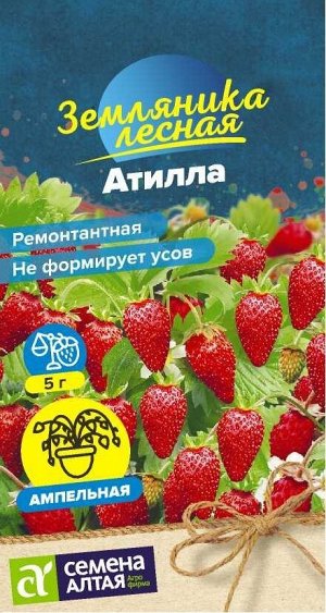 Ягода Земляника Атилла ремонтантная/Сем Алт/цп 0,03 гр. НОВИНКА