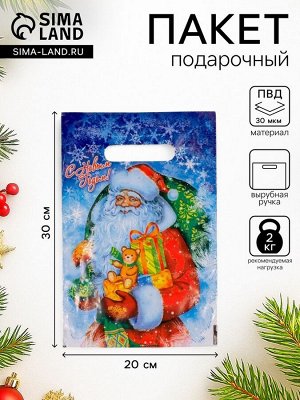 Пакет подарочный «Новогодняя метель». полиэтиленовый с вырубной ручкой. 20x30 см