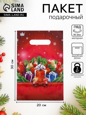 Пакет подарочный новогодний «Малиновый подарок», полиэтиленовый с вырубной ручкой, 20x30 см