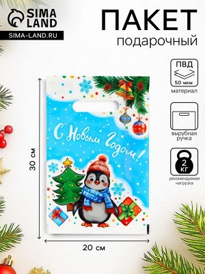 Пакет подарочный новогодний «Лёлик», полиэтиленовый с вырубной ручкой, 20x30 см Новый год