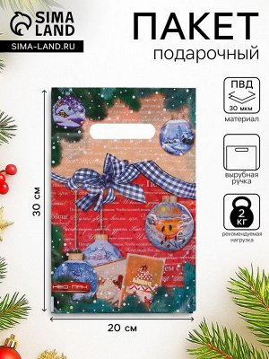 Пакет «Открытка», полиэтиленовый с вырубной ручкой, 20x30 см