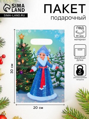 Пакет подарочный новогодний «Внучка Мороза», полиэтиленовый с вырубной ручкой, 30x20 см