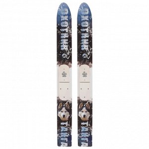 Лыжи деревянные «Тайга», 145 см, цвета МИКС