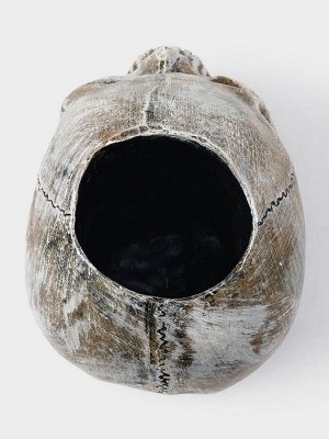 Ёршик для унитаза с подставкой «Череп», стальная ручка, 16x15x22 см, белый