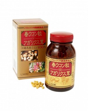 KANEHIDE BIO KANEHIDE Spring Turmeric &amp; Agaricus Mushrooms – комплекс для поддержки здоровья печени и иммунитета с весенней куркумой и грибом агарикус