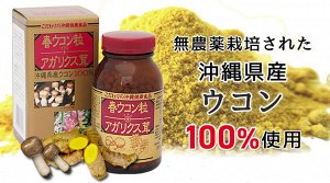 KANEHIDE BIO KANEHIDE Spring Turmeric &amp; Agaricus Mushrooms – комплекс для поддержки здоровья печени и иммунитета с весенней куркумой и грибом агарикус