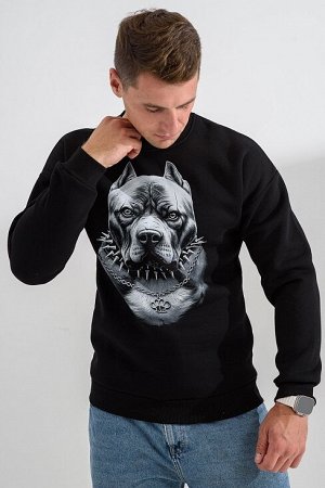 Мужской свитшот 8559 / черный+питбуль