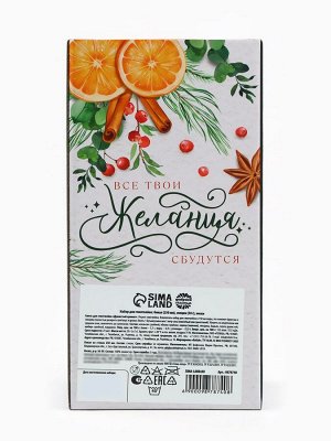 Подарочный набор для приготовления глинтвейна «Чудесного Нового года»: бокал 250 мл., специи 30 г, носки 36-39 размера