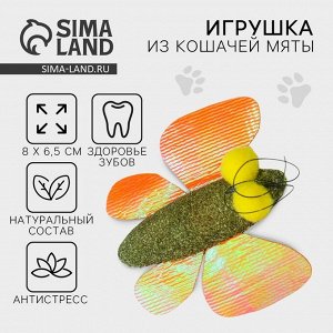 Игрушка для кошек «Бабочка» из кошачьей мяты, 8x6.5 см