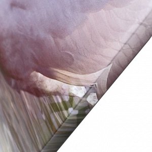Картина модульная на подрамнике "Лебеди на фоне белых цветов" 2шт-21*54; 2шт-21*61; 21*68см