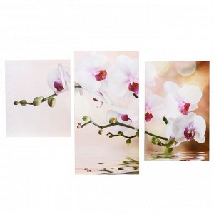 Модульная картина на подрамнике "Цветущая орхидея", 30?35, 30?46, 30?56 см, 90?56 см