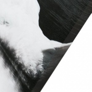 Картина модульная на подрамнике "Лебеди в ночи" 2шт-25х50, 1шт-30х60 ;60*80 см