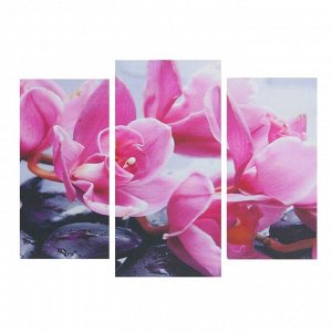 Модульная картина "Фиолетовая орхидея" 25*50 - 2 части, 30*60,  60*80 см