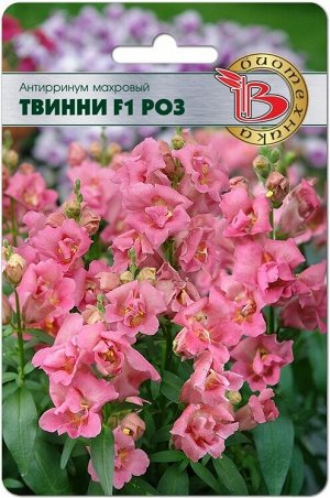 Антирринум махровый Твинни F1 Роз