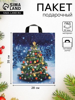 Пакет новогодний «Зимняя красавица», полиэтиленовый с петлевой ручкой, 28x35 см, 50 мкм