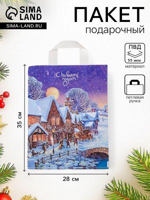 Пакет подарочный новогодний «Зимушка», полиэтиленовый с петлевой ручкой, 28x35 см