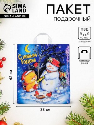 Пакет «Вечерок», полиэтиленовый с петлевой ручкой 38x42 см
