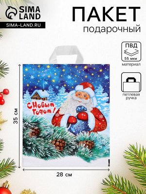 Пакет подарочный новогодний «Добрый дед», полиэтиленовый с петлевой ручкой, 28x35 см
