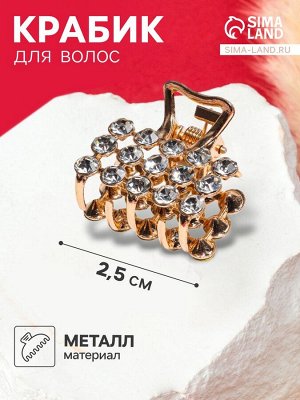 Крабик для волос «Классик», 2.5 см, золото МИКС