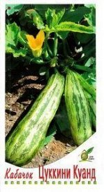 Кабачок Куанд