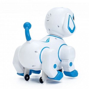 Игрушка-робот «Собака», работает от батареек, световые и звуковые эффекты, танцует, МИКС